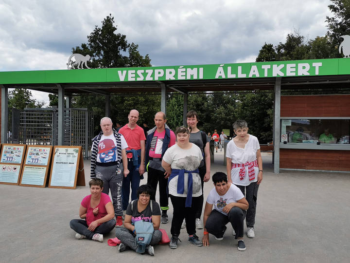 Kirnduls a veszprmi llatkertben