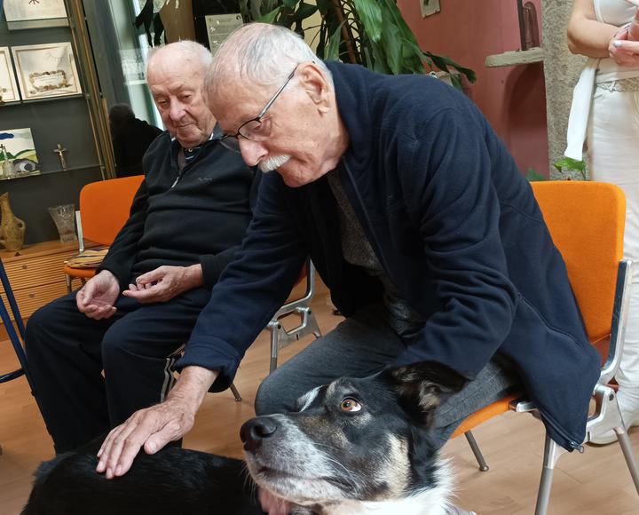 Kutyaterápia idősekkel